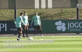 爱游戏官方入口-2006年世界杯意大利vs澳大利亚