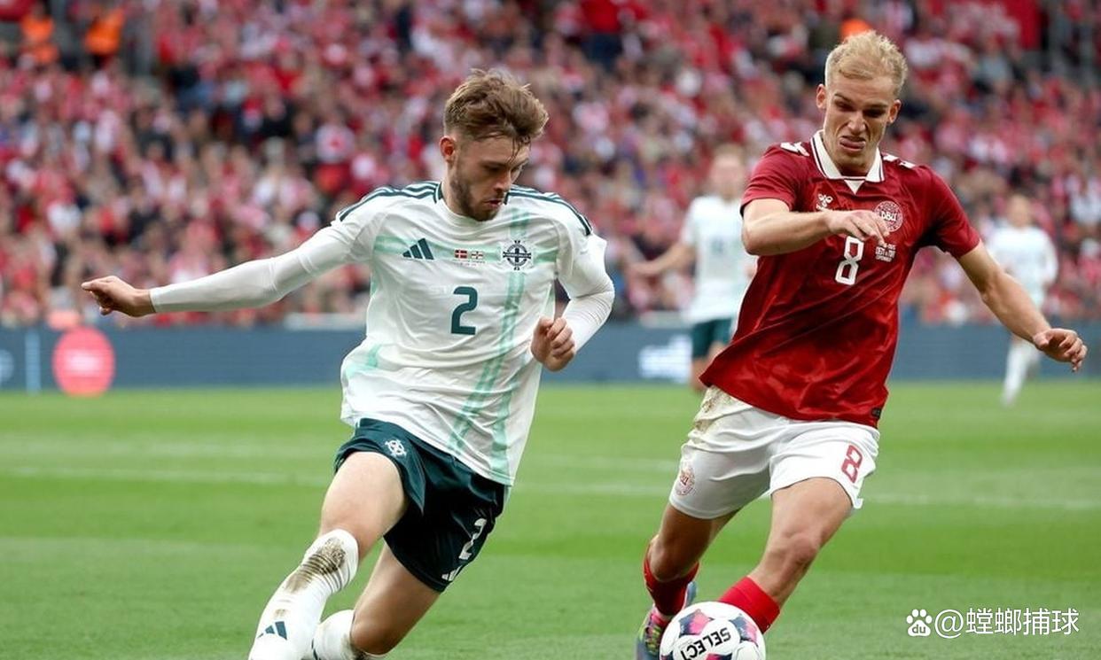 爱游戏体育-爱尔兰对北爱尔兰