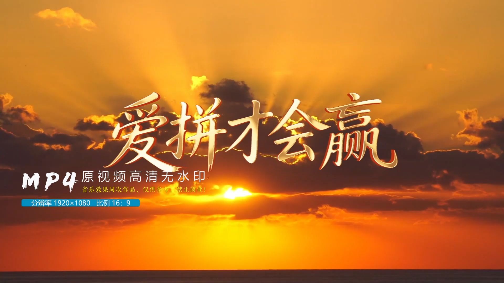 无悔的决择 无悔的决择