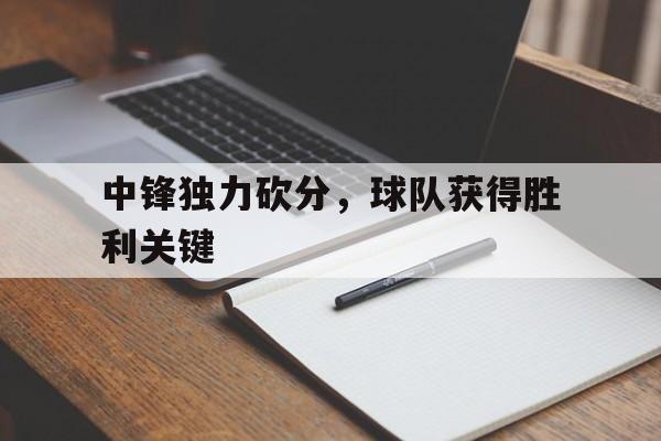 爱游戏体育-中锋得分少